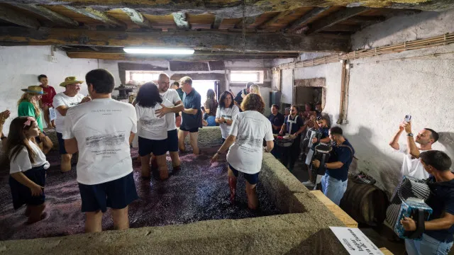 pisa-a-pe-em-lagares-centenarios-do-douro-atrai-turistas-a-aldeia-de-sabrosa