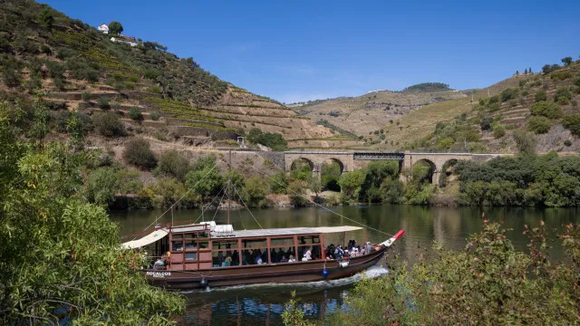 distincao-da-unesco-trouxe-projecao,-turistas-e-investimento-ao-douro