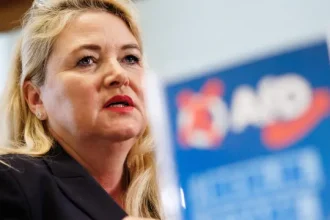 primeiras-projecoes-dao-vitoria-a-afd-em-mecklemburgo-pomerania-ocidental