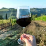 governo-cria-linha-de-credito-de-110-milhoes-para-produtores-vinicolas
