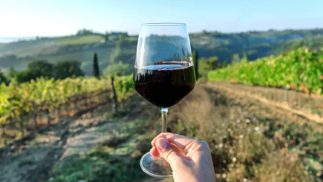 governo-cria-linha-de-credito-de-110-milhoes-para-produtores-vinicolas