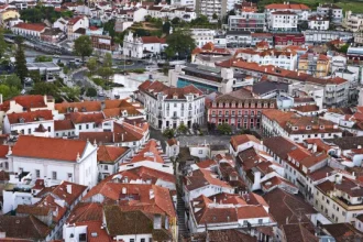 psd-alerta-para-impactos-negativos-do-volta-na-higiene-urbana-de-leiria