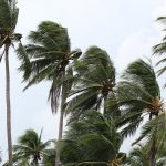 defesa-civil-do-rio-emite-novo-alerta-para-chuvas-e-ventanias
