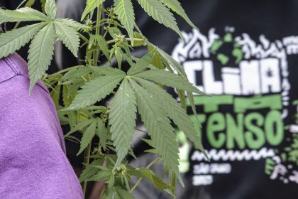 flagrante-por-drogas-gera-mais-prisao-preventiva-do-que-outros-crimes
