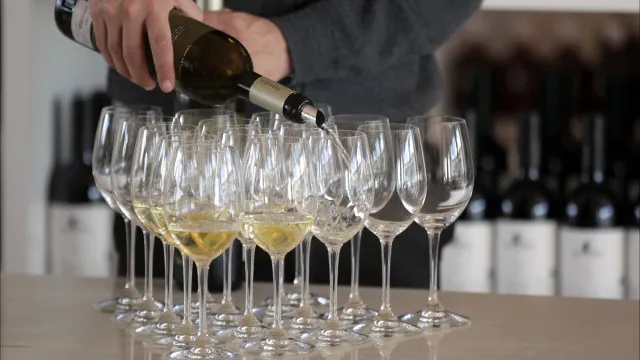 exportacoes-de-vinhos-do-alentejo-para-brasil-crescem-9%-ate-agosto