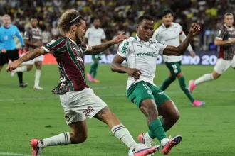 como-palmeiras-e-fluminense-podem-diminuir-chances-de-brasileiros-irem-ao-mundial