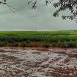 itagimirim-e-guaratinga-estao-entre-municipios-da-bahia-em-alerta-para-tempestades-nesta-quinta-feira