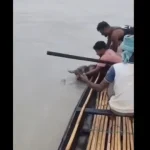 elefante-bebe-e-arrastado-por-corrente.-foi-salvo-e-reencontrou-a-mae