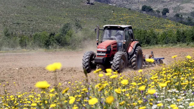 excedente-agroalimentar-da-ue-aumenta-para-30,1-mil-milhoes-de-euros