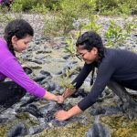 inscricao-de-trabalhos-no-forum-de-educacao-ambiental-termina-dia-30