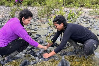 inscricao-de-trabalhos-no-forum-de-educacao-ambiental-termina-dia-30