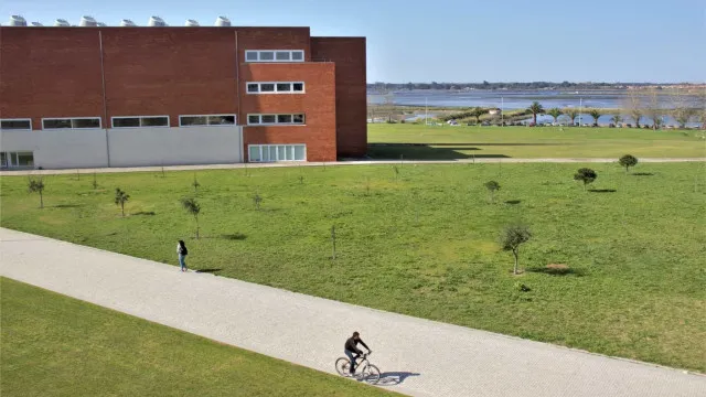 be-questiona-governo-sobre-ciberataque-a-universidade-de-aveiro