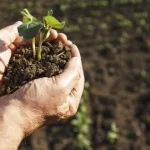 agricultores-convocam-marcha-lenta-para-sexta-feira-em-serpa