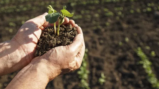 agricultores-convocam-marcha-lenta-para-sexta-feira-em-serpa
