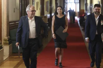pureza-acusa-ps-de-passar-“cheque-em-branco”-ao-governo-com-abstencao